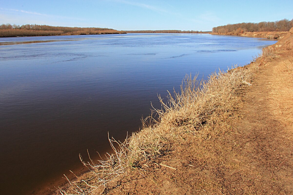 Ока - Евгений Корьевщиков Ока - Евгений Корьевщиков