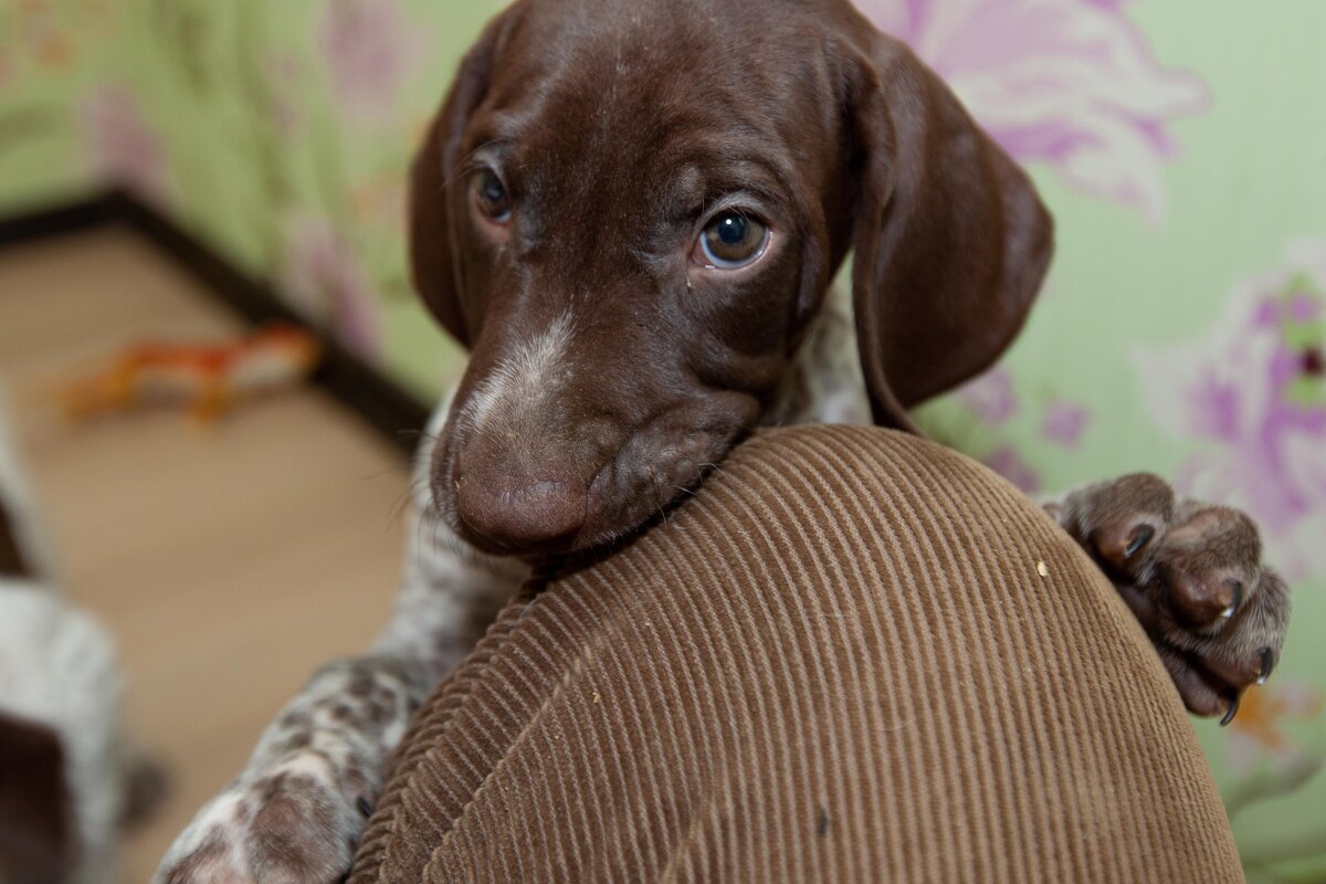 привет, друг! - Павел Кошалеф