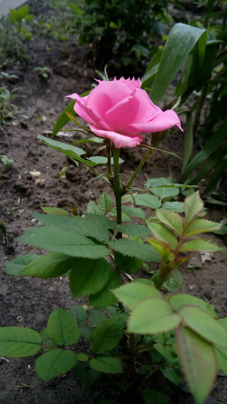 ,,, - Сергей Тимоновский