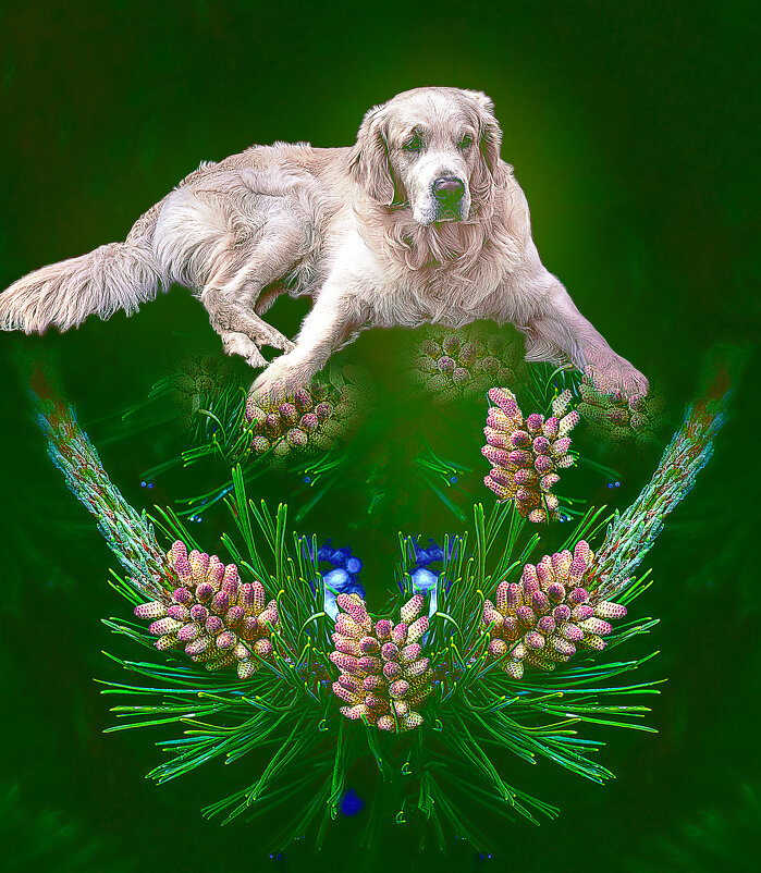 Билли кайфует - Владимир Кроливец