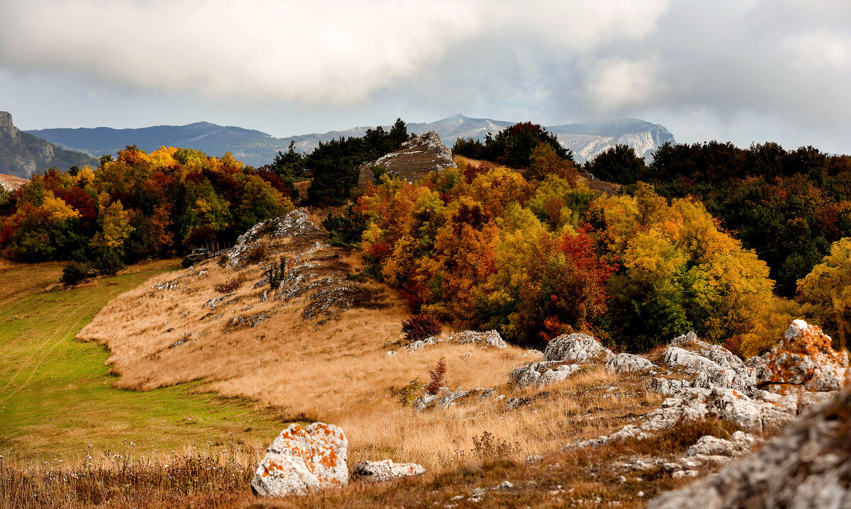 Демерджи Яйла. - Сергей Воротников Демерджи Яйла. - Сергей Воротников