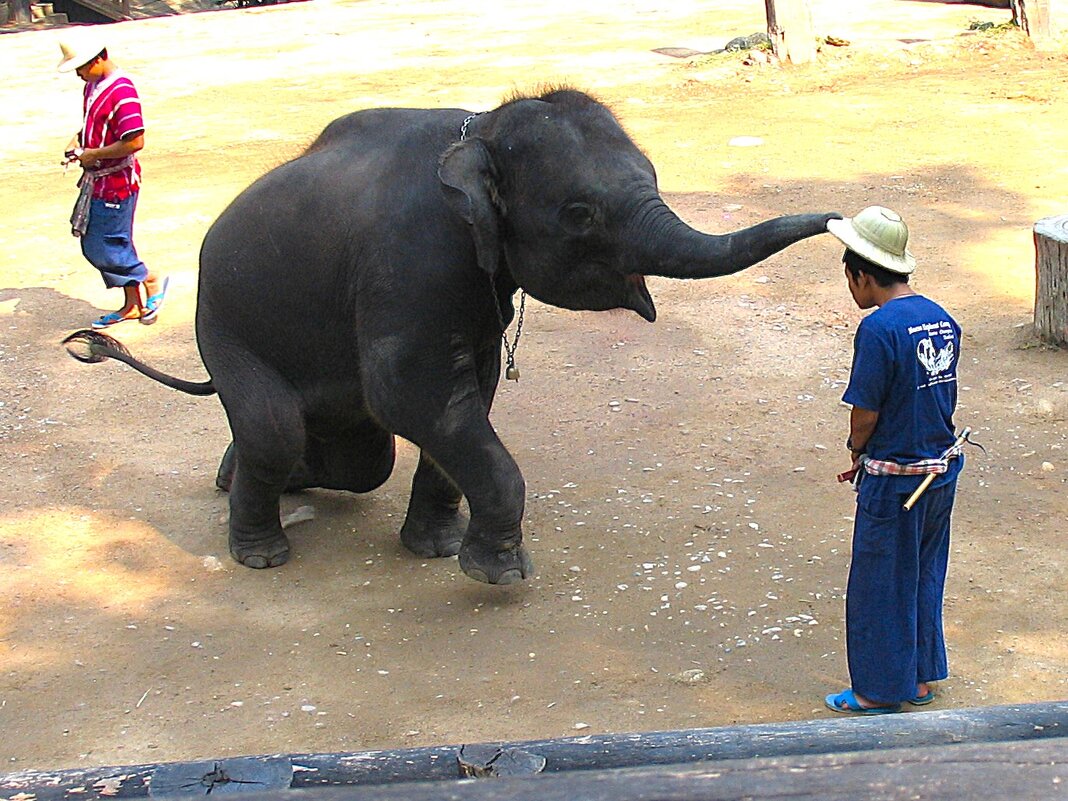 Шляпу сними... - svk * Шляпу сними... - svk *