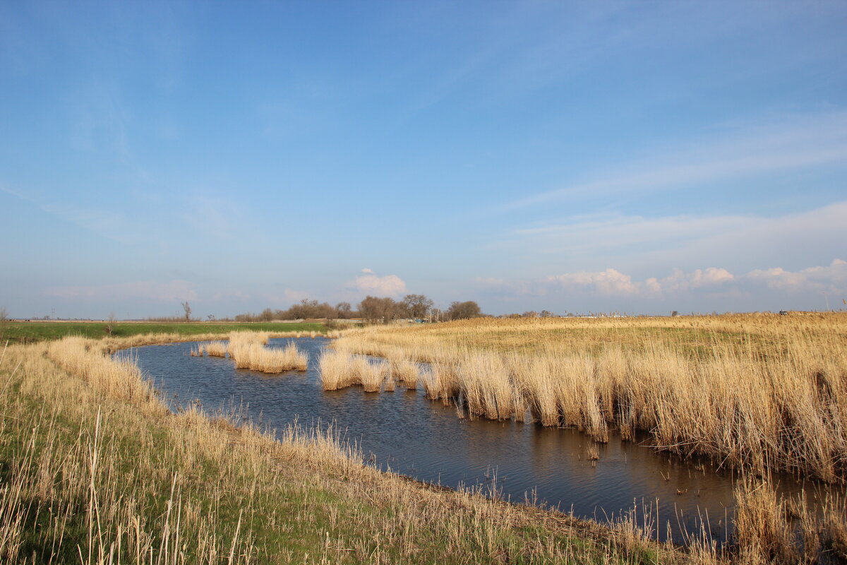 Краски Весны. - Виктор 