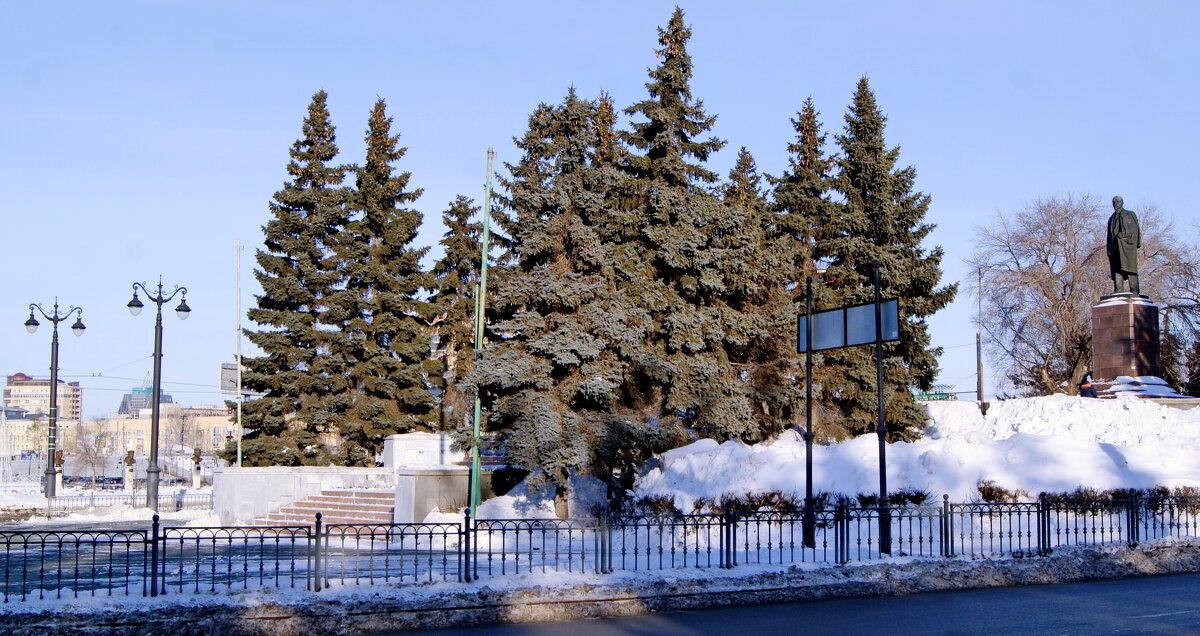 Ели. - сергей ермошкин