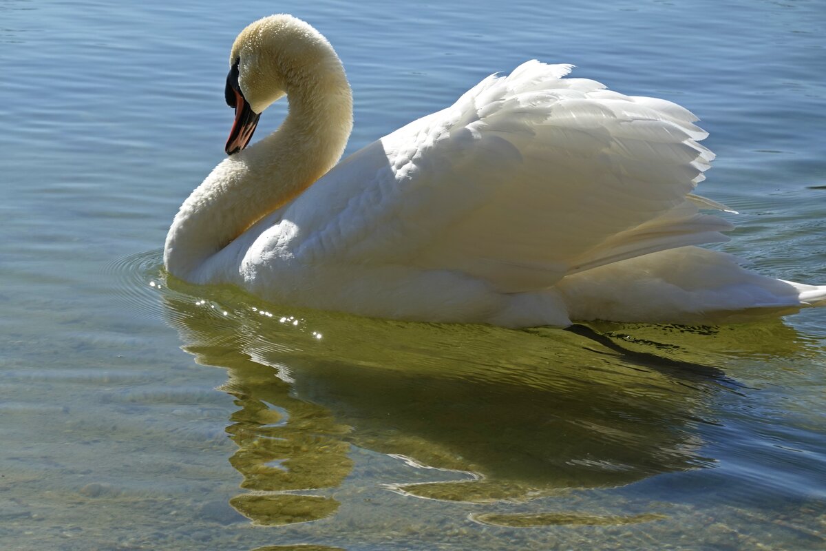 ... - Галина ... - Галина