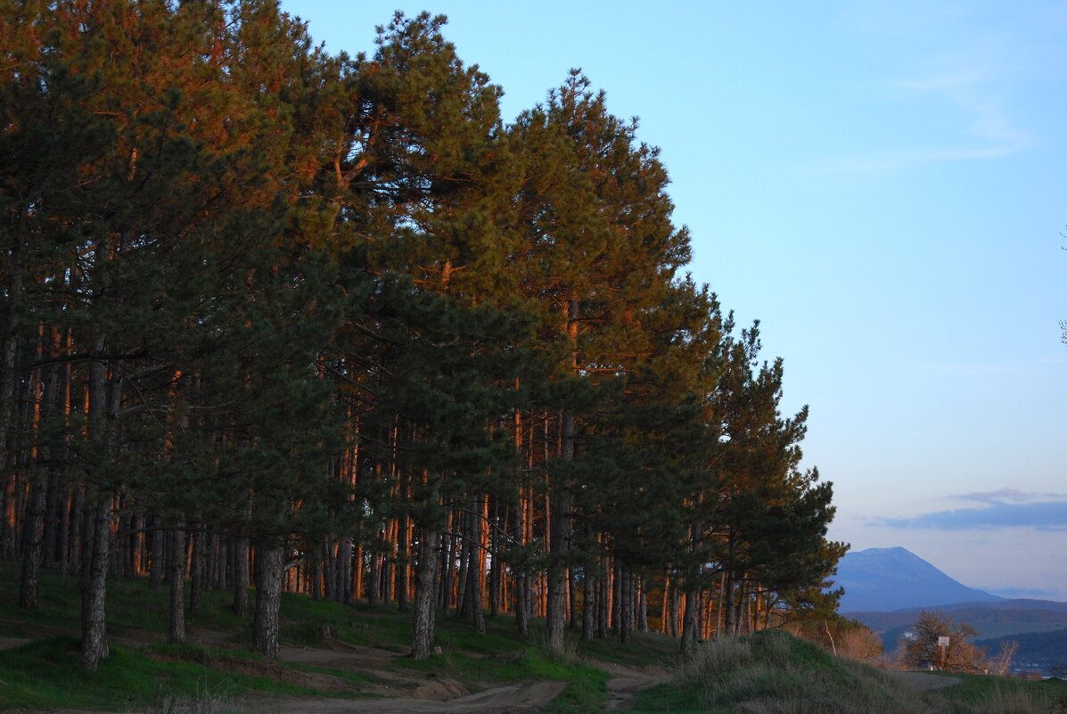 вечереет - Всеволод 