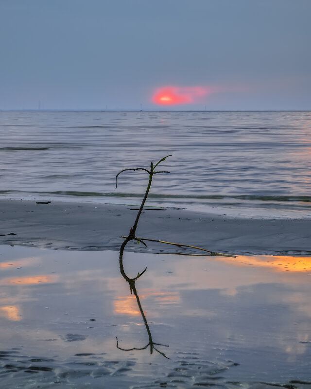 Закат - Владимир Колесников Закат - Владимир Колесников