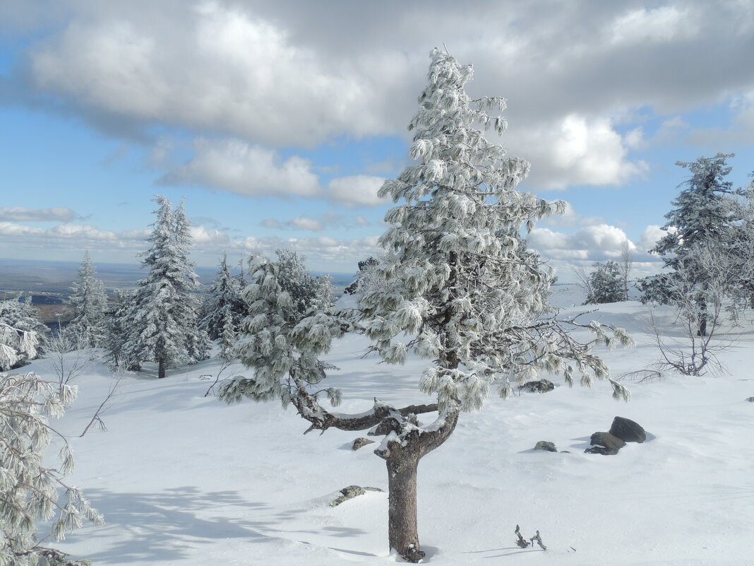 скоро кончится зима - Константин Трапезников скоро кончится зима - Константин Трапезников