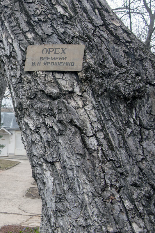 Кисловодск - Gen Кисловодск - Gen