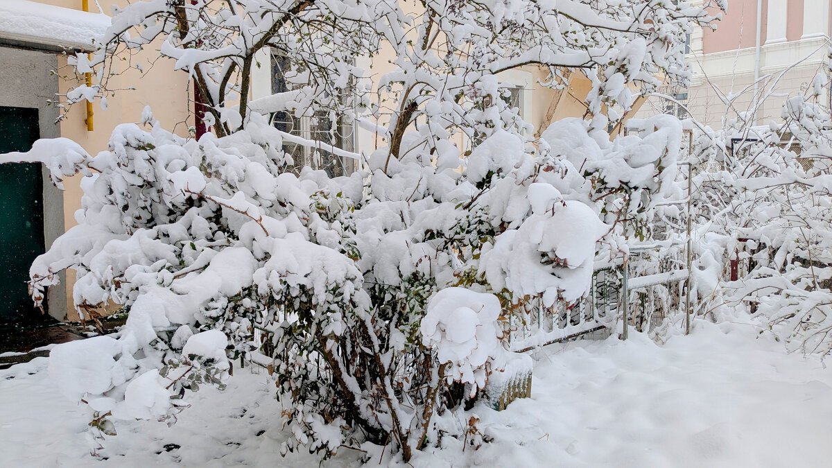начало апреля  4 - Александр Прокудин