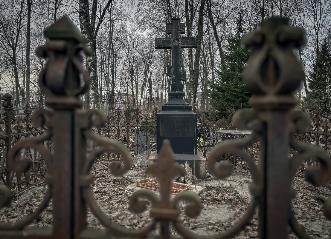 История - Дмитрий Иванов