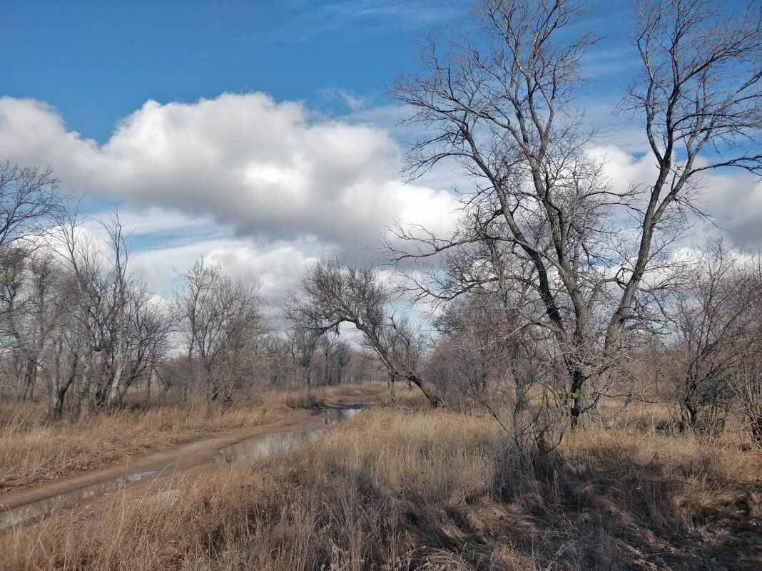 Осеннее настроение - Андрей Хлопонин Осеннее настроение - Андрей Хлопонин