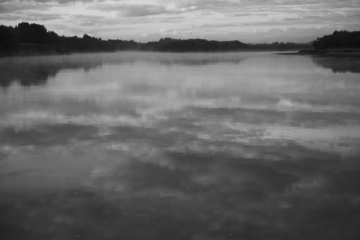 Название отсутствует - Денис Безногов