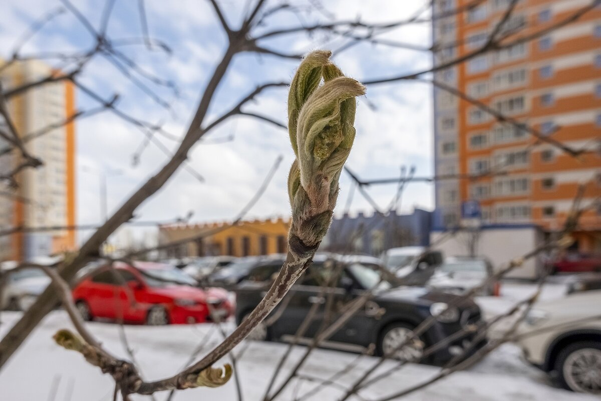 Не торопись, рябинка - Валерий Иванович