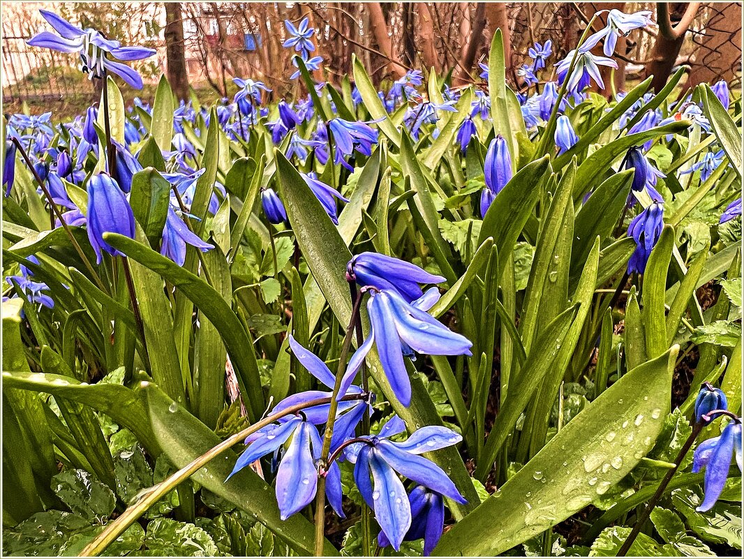 В весеннем парке. - Валерия Комова