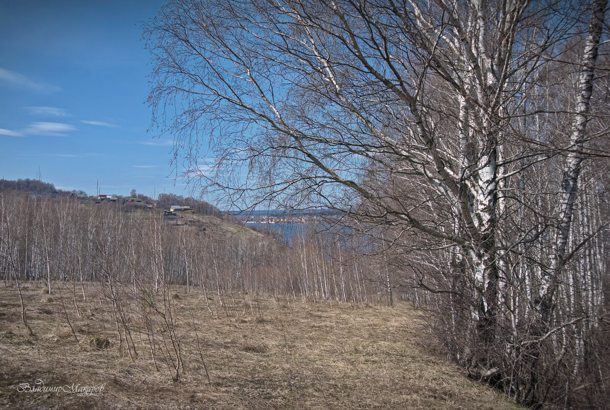 "Время весенней прозрачности"© - Владимир Макаров "Время весенней прозрачности"© - Владимир Макаров