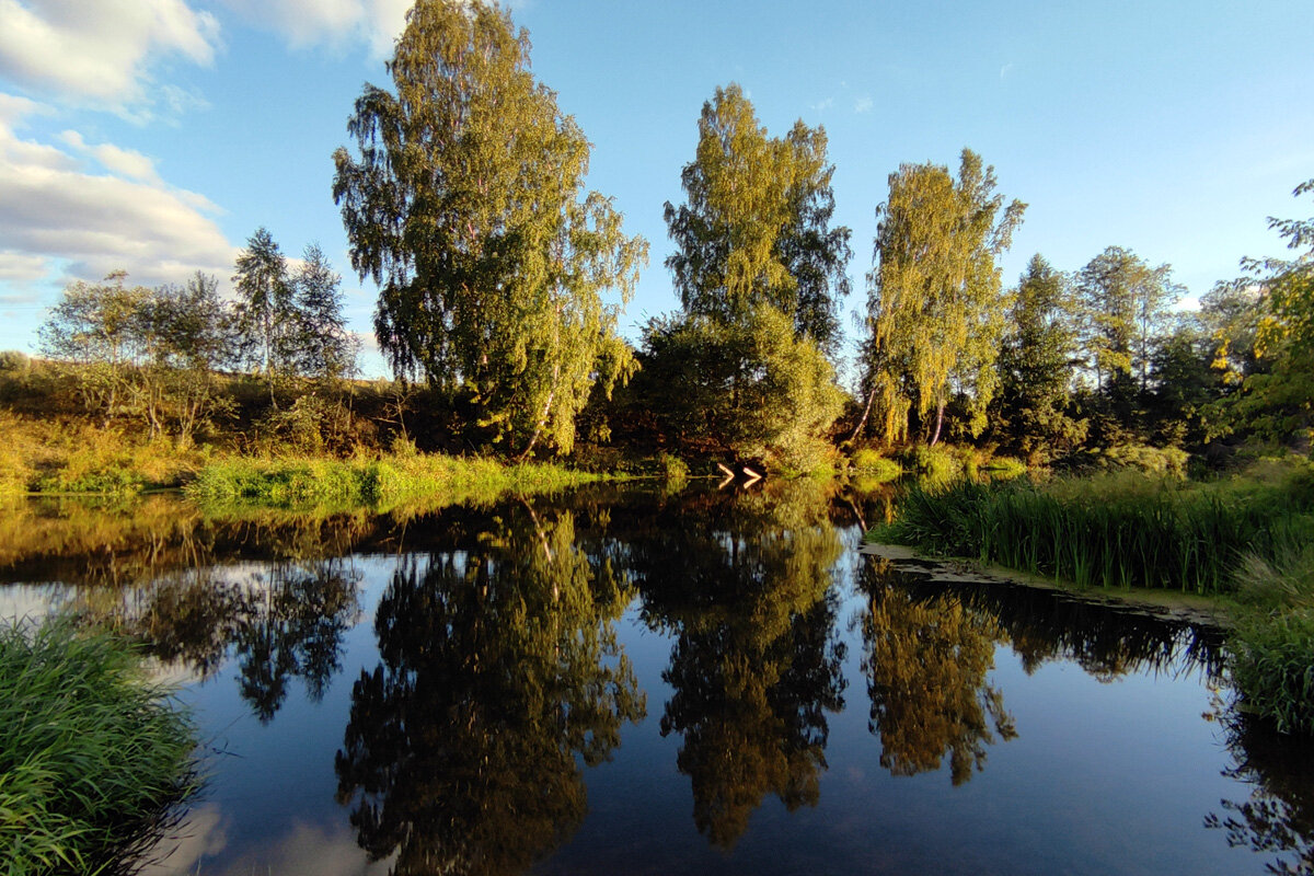 Зеркало - Ирина Ватолина