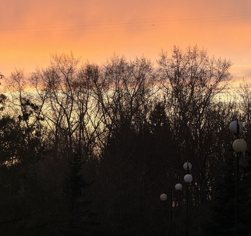 Наши яркие горизонты ✌️ - Анна Камс Наши яркие горизонты ✌️ - Анна Камс