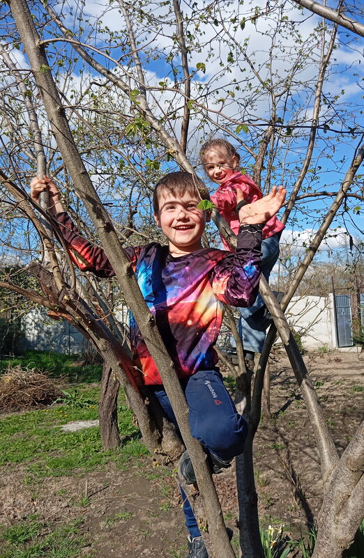 Привет с дерева...) - Константин Штарк Привет с дерева...) - Константин Штарк