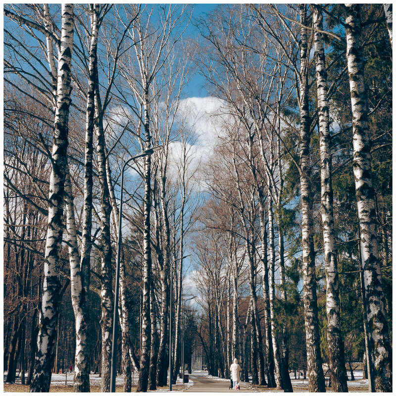 *** - someone somewere