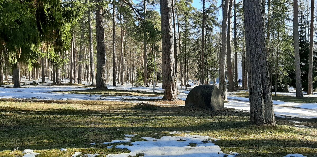 Зеленогорск. Северная Ривьера - Наталья Герасимова Зеленогорск. Северная Ривьера - Наталья Герасимова