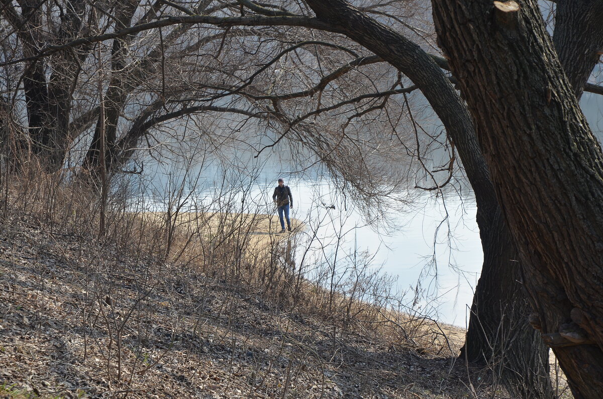 На пруду 29.03.2025. - Oleg4618 Шутченко