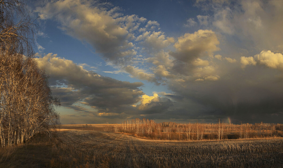Весенние мотивы - Сергей Жуков