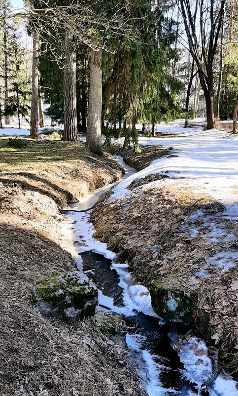 Ручей - Наталья Герасимова