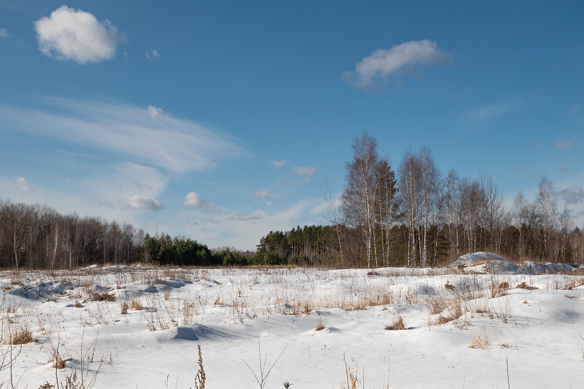 Солнечный мартовский день в лесу - Александр Орлов Солнечный мартовский день в лесу - Александр Орлов