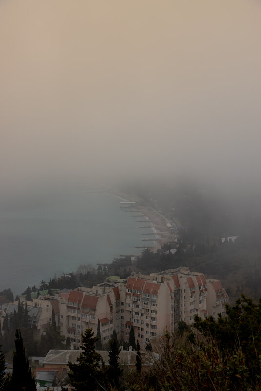 Туман. - Дмитрий А