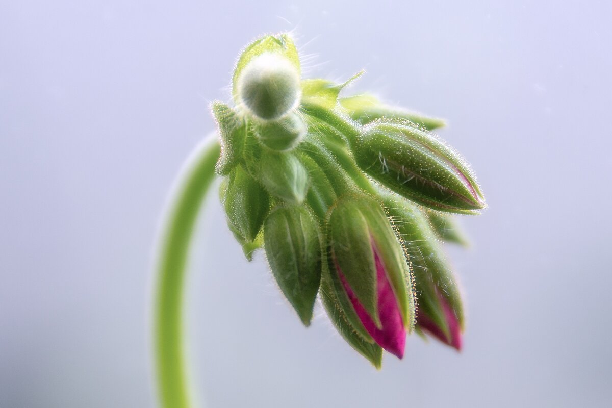 *** - Виктор Иванович Чернюк *** - Виктор Иванович Чернюк