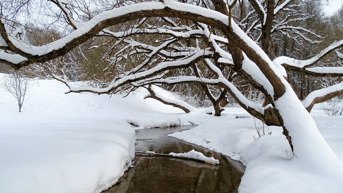 Снега много, но ручей не замёрз. - Милешкин Владимир Алексеевич 