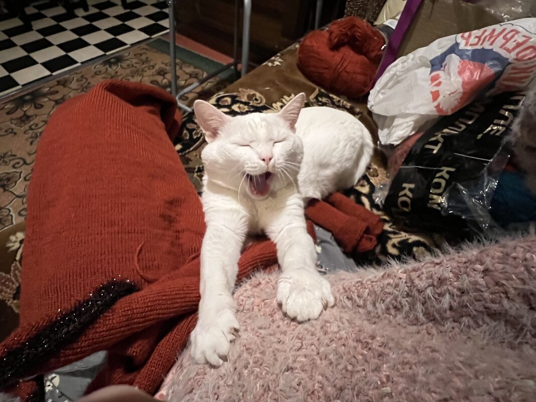 Кааайф - Натали Королева