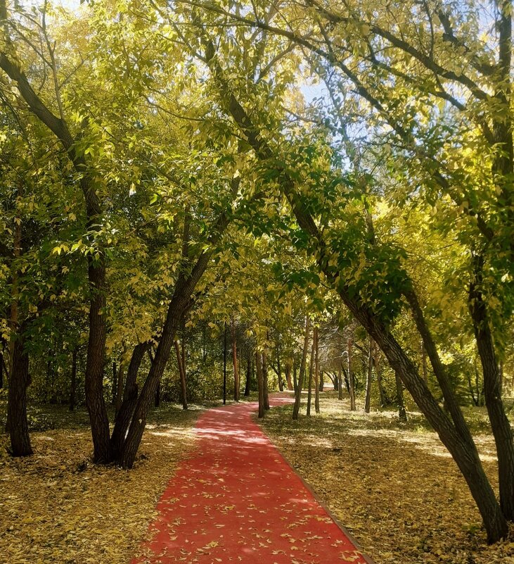 Солнечный женек - Георгиевич Солнечный женек - Георгиевич