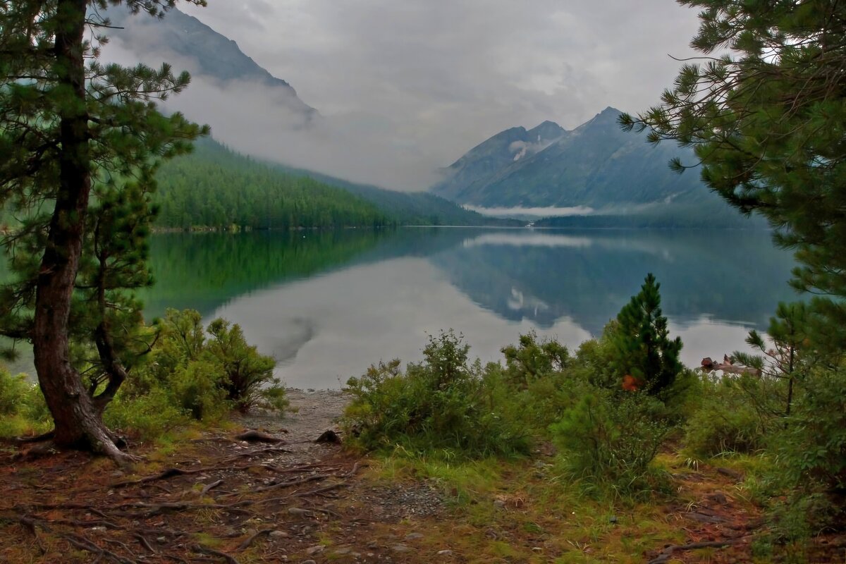 Нижне-Мультинское - Виктор Фоменко