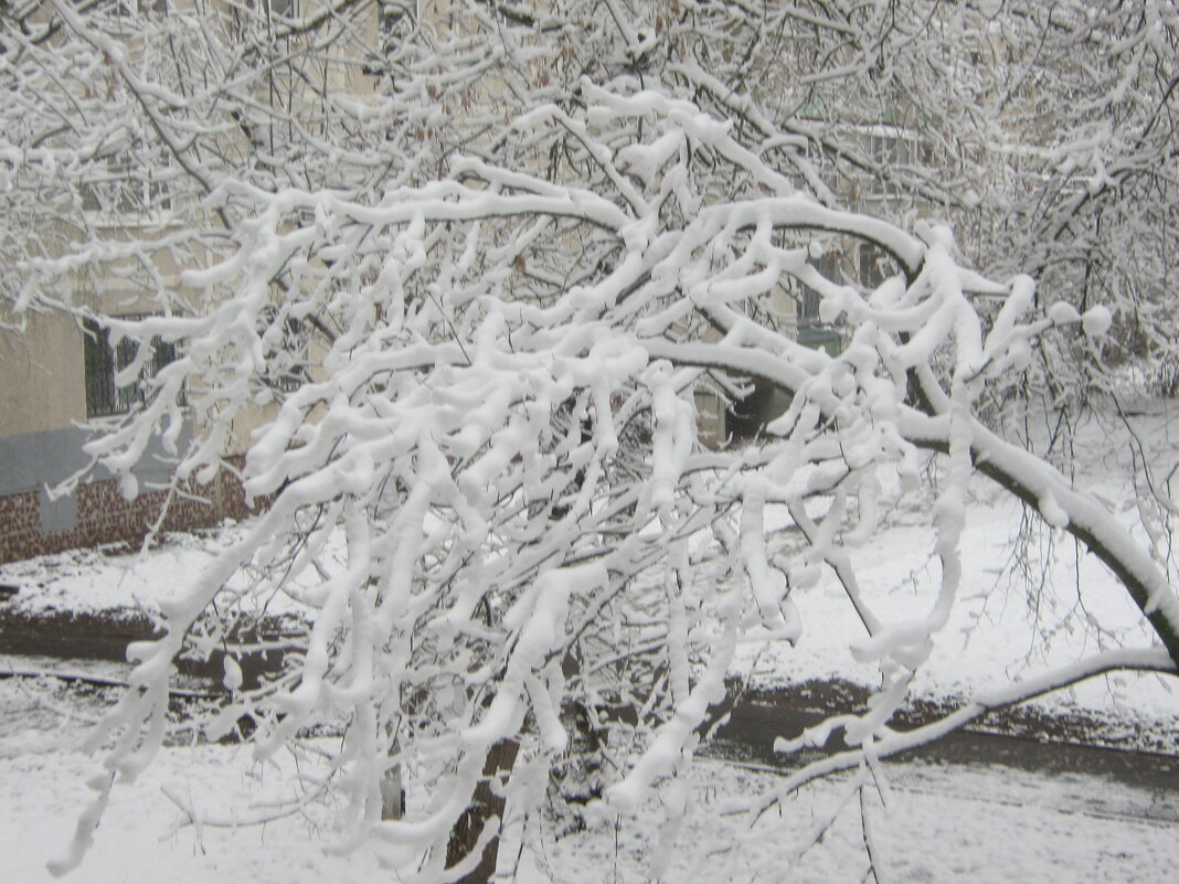 9 апреля - Елена Семигина