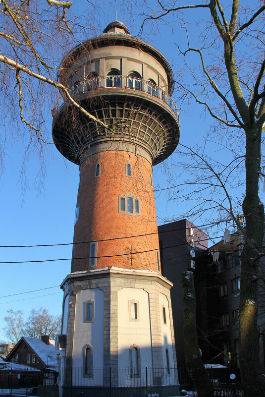 Муррариум - Vlad Сергиевич