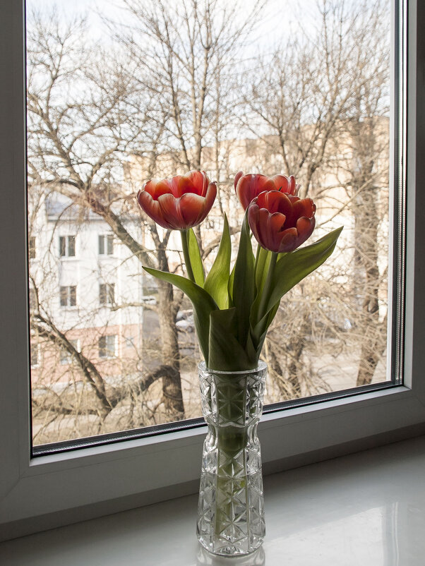 ... - Елена Пономарева