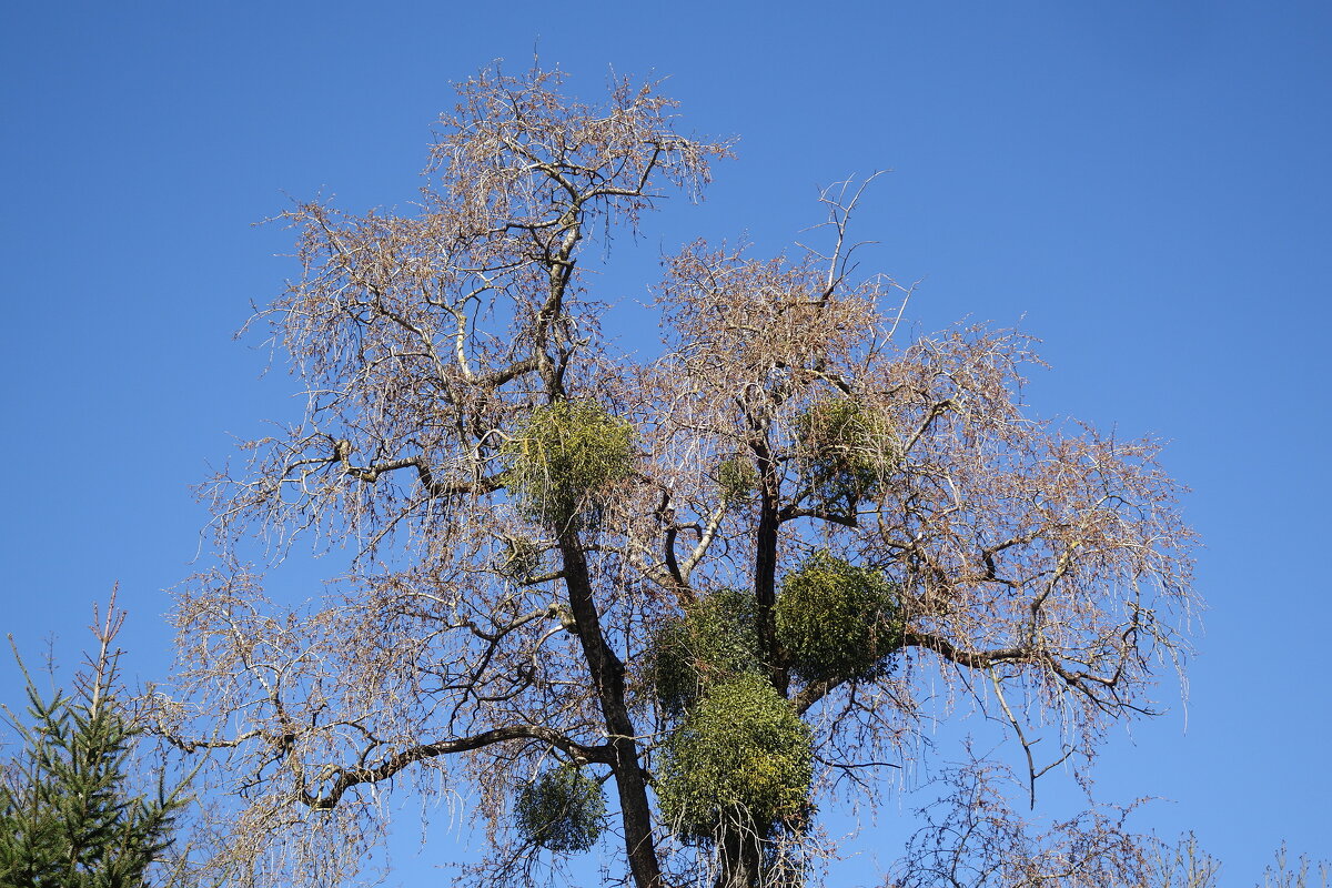 Апрель - Рита Симонова