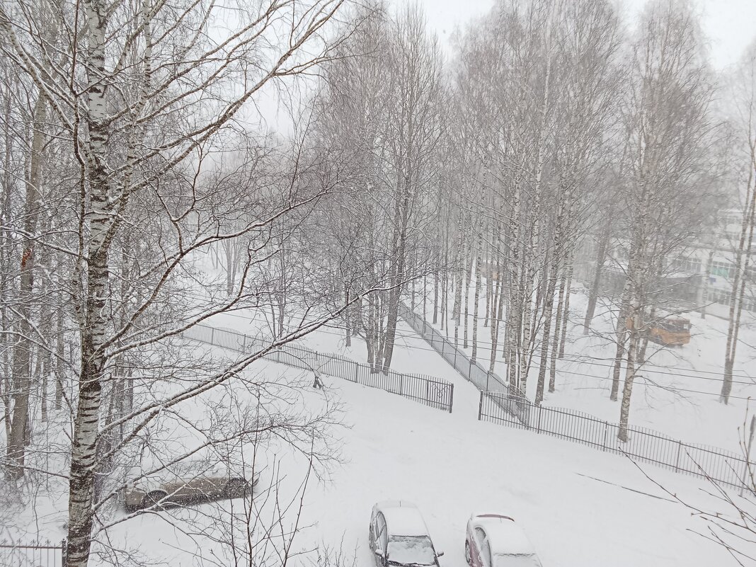 За окном утро 09.04.25 - Виктор 