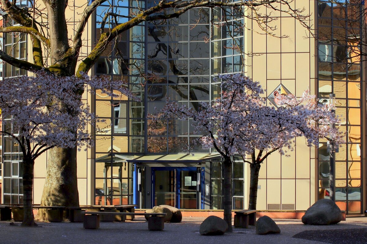 Утро в городе - Юрий. Шмаков