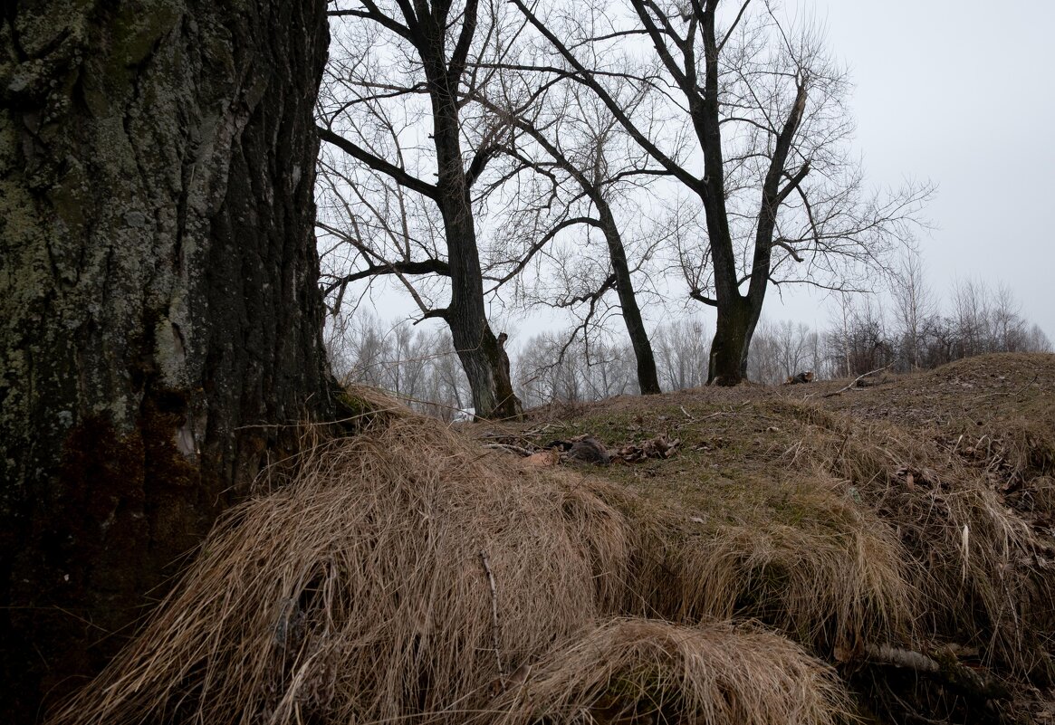 *** - Валерий Михмель *** - Валерий Михмель