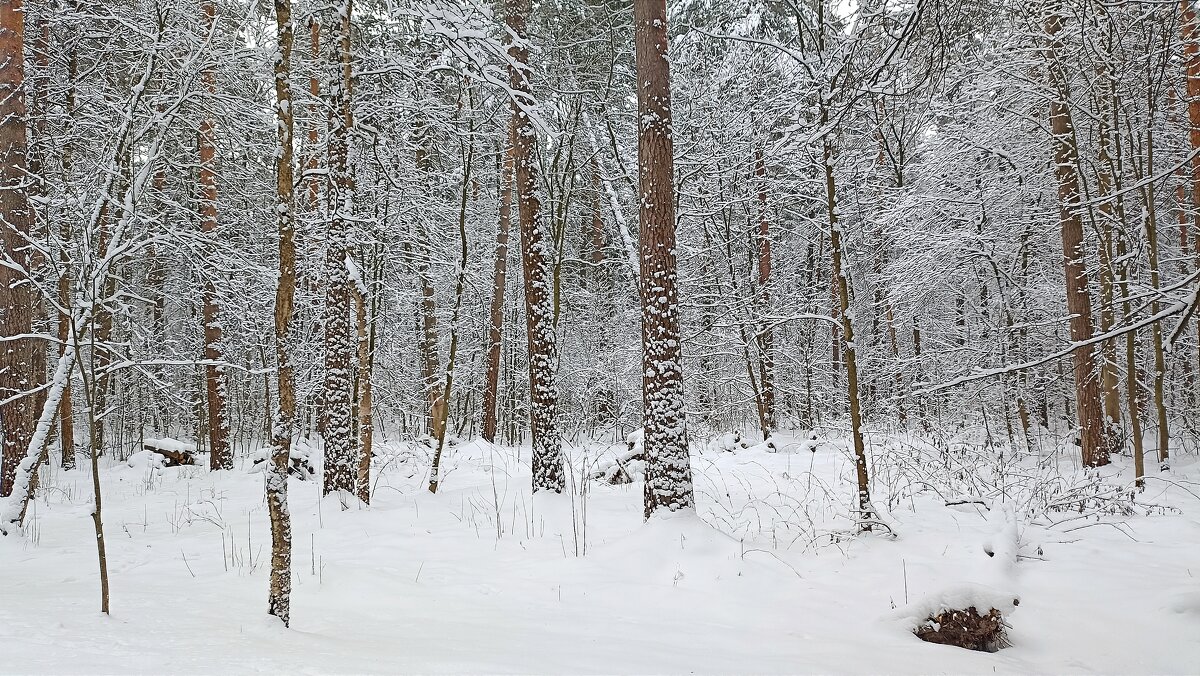 Апрельские утро - Татьяна Тюменка Апрельские утро - Татьяна Тюменка
