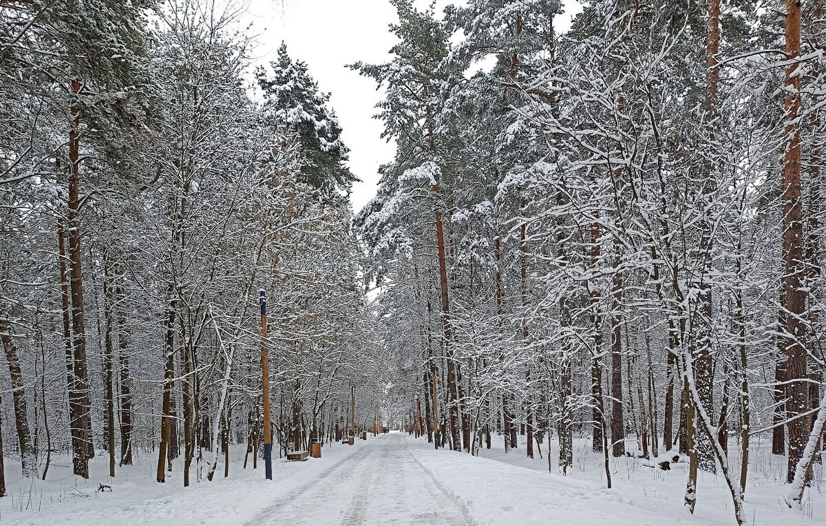Апрельское утро - Татьяна Тюменка