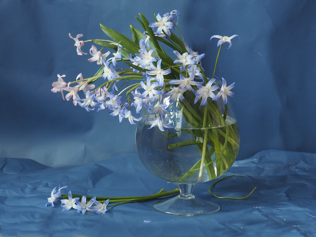 весна. - Александра [-/ весна. - Александра [-/