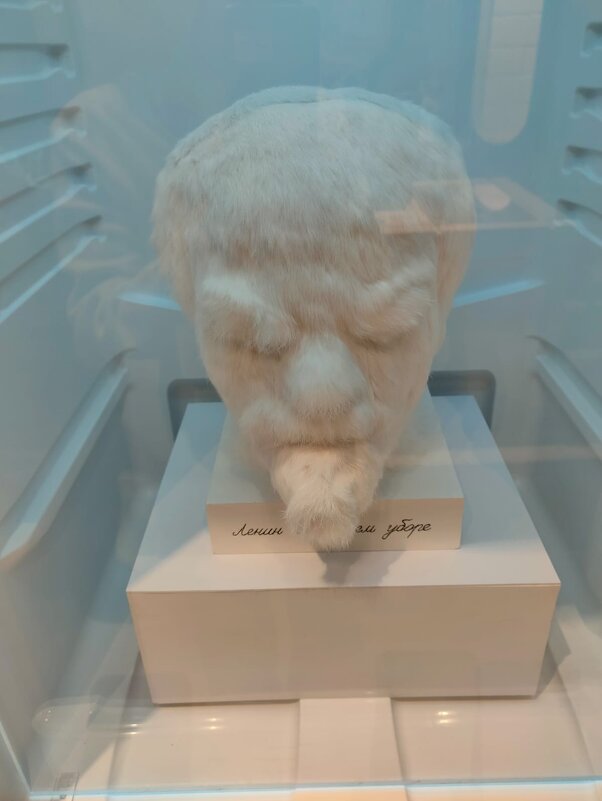 Ленин в ледяном уборе. Лёд. Жизнь - выставка-экспедиция про все аспекты льда - Ирэн 