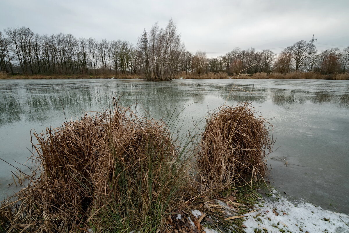 И кочки впереди... - Николай Гирш