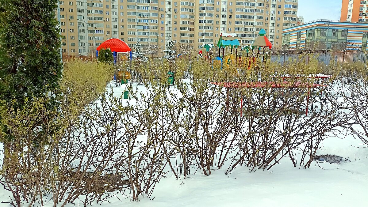 На белом-белом покрывале... апреля... - Татьяна Тюменка На белом-белом покрывале... апреля... - Татьяна Тюменка