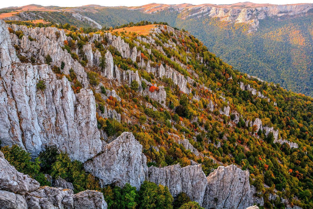Хапхал. - Сергей Воротников Хапхал. - Сергей Воротников