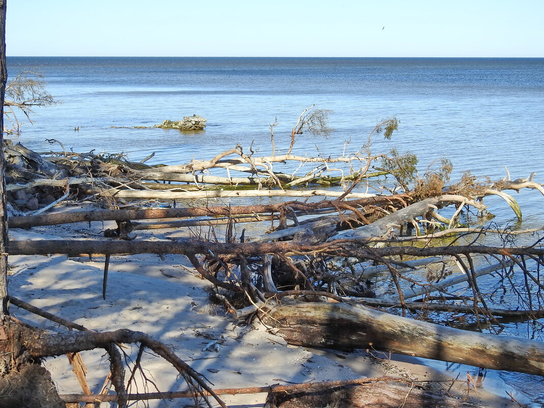 весна - ИННА ПОРОХОВА весна - ИННА ПОРОХОВА
